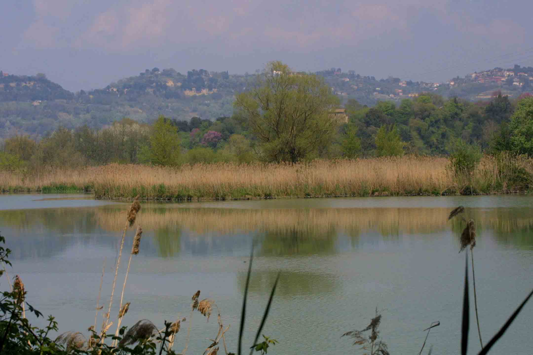 Laghi....del LAZIO